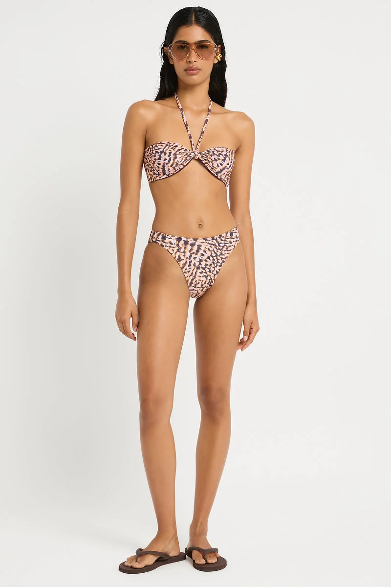 Crista Brief | Papillon - Image 4