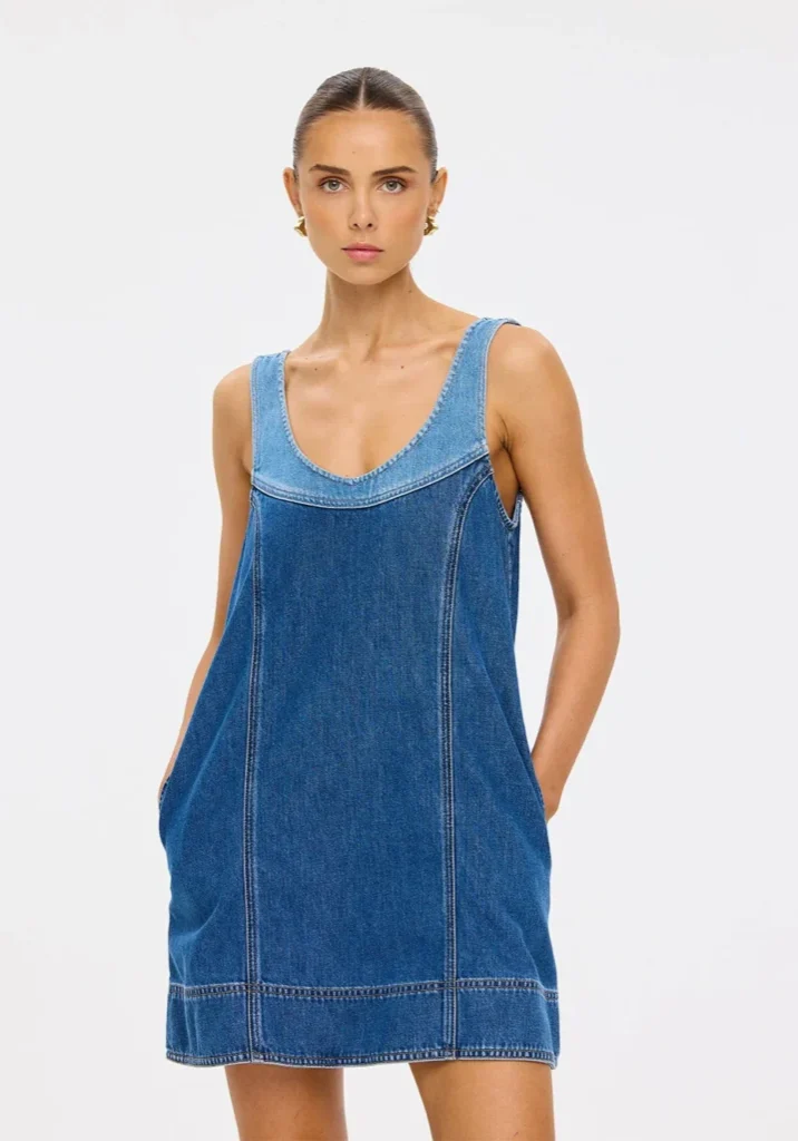 Coralie Denim Mini Dress 2